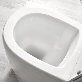 WC Senza Brida H50 Terza Età Pratico e Funzionale