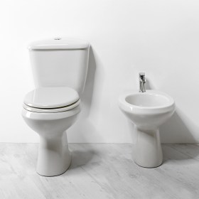 Vaso monoblocco e bidet in ceramica bianca Classic 